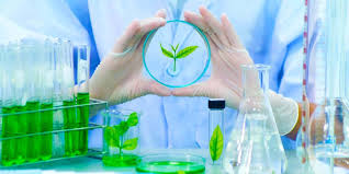 Environmental Services